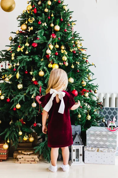 Burgundy elbiseli küçük bir kız Noel ağacının yanında duruyor, yeni yılı ve Noel 'i bekliyor.