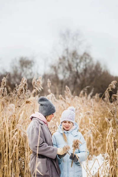 Mère et fille en promenade dans la forêt, herbe et neige, promenades hivernales, forêt, champ, vêtements d'hiver — Photo