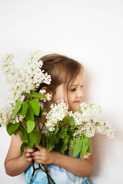 Mała dziewczynka na białym tle stoi i trzyma gałęzie lilii, kwitnący kurst, liliowy, wiosna i lato — Zdjęcie stockowe