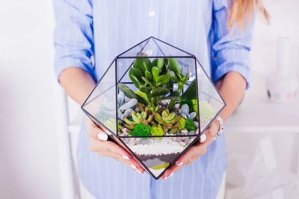 Florarium Composición Suculentas Piedra Arena Vidrio Elemento Interior Decoración Del — Foto de Stock