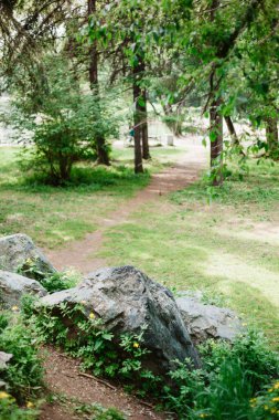 Manzara, kayalar, ağaçlar, dallar, arka plan, duvar kağıdı, doğa, eğlence, seyahat, doğa, şehir parkı.