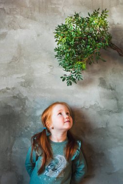 Kızıl saçlı, at kuyruklu, örülü bir kız, duvarın yanında duruyor ve elinde yeşil bitkiler, şam fıstığı, duygular, çocukluk, anne, iç mekan, neşe
