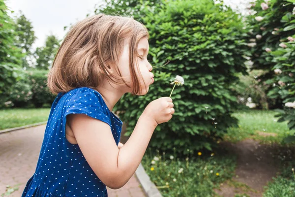 Menina Sopra Dente Leão Flor Ramos Bush Vegetação Infância Verão — Fotografia de Stock