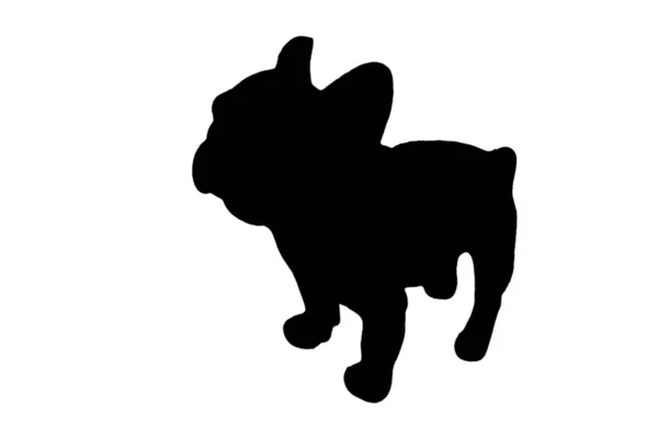Иллюстрационный Стиль Рисования Собаки Белом Фоне Иллюстрация — стоковое фото