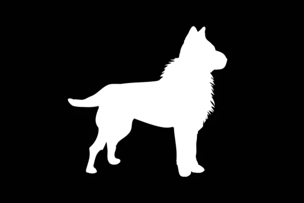 Hond Silhouet Logo Ontwerp Wit Illustratie Ontwerp — Stockfoto