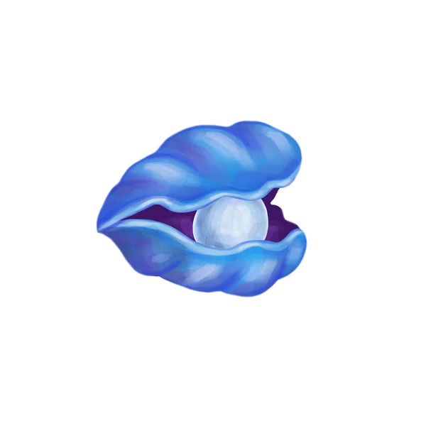 Open Blue Seashell Pearl Insid — Stock Photo, Image