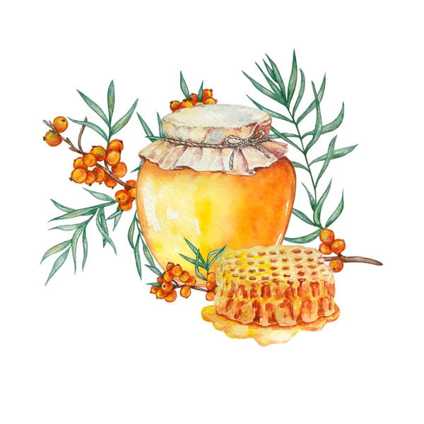 ハニーコンブの入った瓶の中の水彩蜂蜜と果実の入ったシーバソーンの枝 — ストック写真