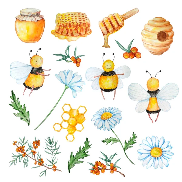 Aquarell Set Von Niedlichen Bienen Honig Bienenstock Kamillenwaben Zweig Von — Stockfoto