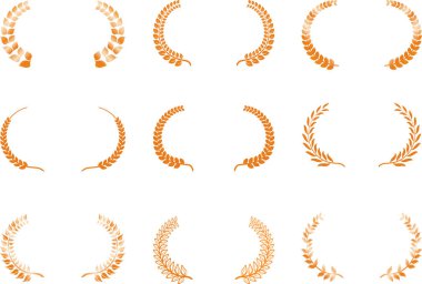 Wide Round frame of Copper laurel set