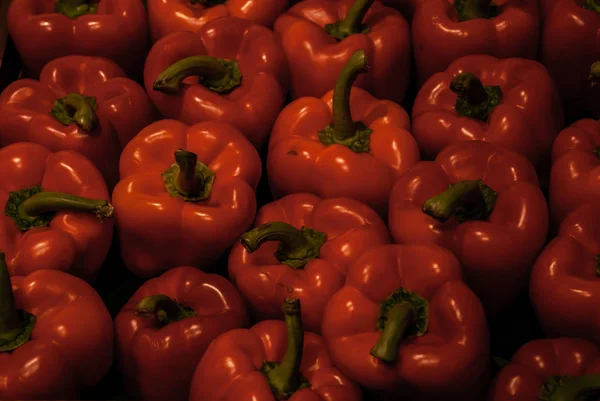 Rode paprika 's (Capsicum), paprika' s, Capcicum, groenten. — Stockfoto