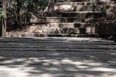 Eski ahşap merdiven ve doğa parkında yürüme yolu.