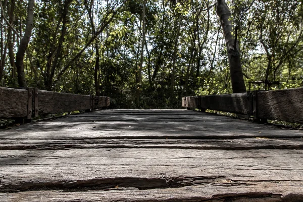 Stary drewniany chodnik przez park przyrody, który ma promienie słońca sh — Zdjęcie stockowe