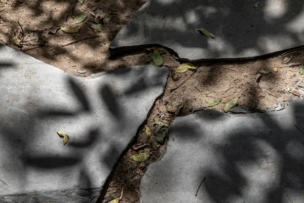 Pasarela de piedra a través del parque, que tiene rayos de sol brillando throug —  Fotos de Stock