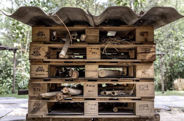 Houten kist met set droge boomtakken in park. — Stockfoto