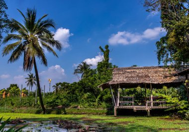 Deniz kıyısındaki çadırın önündeki nilüfer havuzu, Io 'lu gölet.