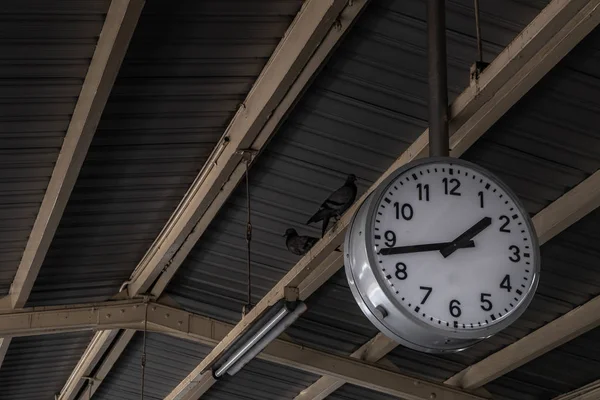 Reloj conectar el poste bajo el techo, Hermoso reloj blanco grande — Foto de Stock