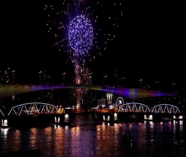 Feiern Das Wackelige Feuerwerk Leuchtet Den Himmel Blickt Durch Die — Stockvideo