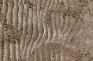 Arka plan için kum dokusu. Yazın bir kumsalın kum desenine yakın çekim. Üst görünüm