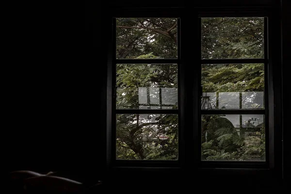 Leere Dunkle Zimmer Mit Grüner Landschaft Fenster Blick Auf Den — Stockfoto