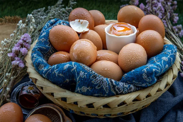 篮子里的母鸡 新鲜鸡蛋 营养概念 选择性重点 — 图库照片