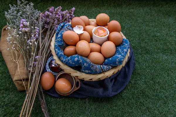 篮子里的母鸡 新鲜鸡蛋 营养概念 复制空间 选择性重点 — 图库照片