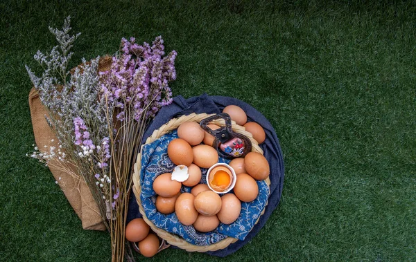 篮子里的母鸡 新鲜鸡蛋 营养概念 Topview 复制空间 选择性焦点 — 图库照片