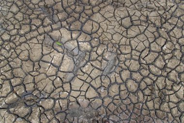 Arka plan için parçalanmış ve desenli çorak bir arazi. Küresel ısınmadan kaynaklanan kuraklık. Ekoloji kavramı.