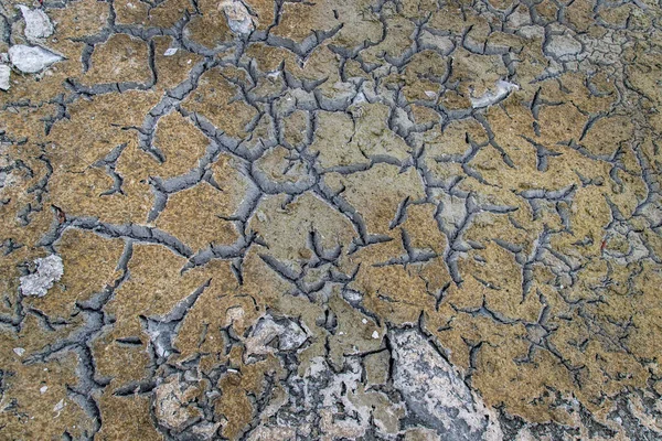 Una Tierra Estéril Que Está Destrozada Por Fondo Textura Sequía — Foto de Stock