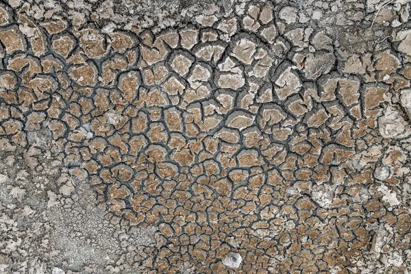 背景と質感のために粉砕された不毛の土地 地球温暖化による干ばつです 生態学の概念 — ストック写真