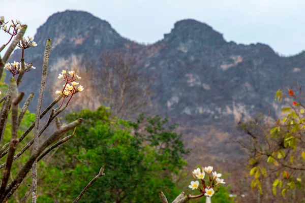 泰国Phetchaburi省Khao Yoi县Khao I投标或Khao Go的高山美景 — 图库照片