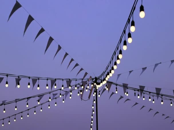 Soft Focus Light Bulbs Decorate Celebrations Festivals Evening Sky Background — Stockvideo