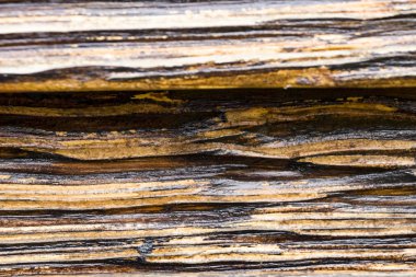 Yaşlanmış ahşap doku. Tahtalar siyah ve kahverengi. Yapay olarak eskitilmiş odun. Derin doku. Yaşlı ağaç kavramı..