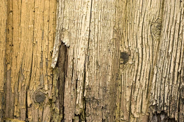 Old Wooden Boards Peeling Paint Old Background Textured Planks Oak — Stock Photo, Image