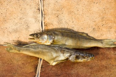 Tütsülenmiş yırtıcı balık. Zander. Soğuk tüttürdüm. Doğal köy arkaplanı.