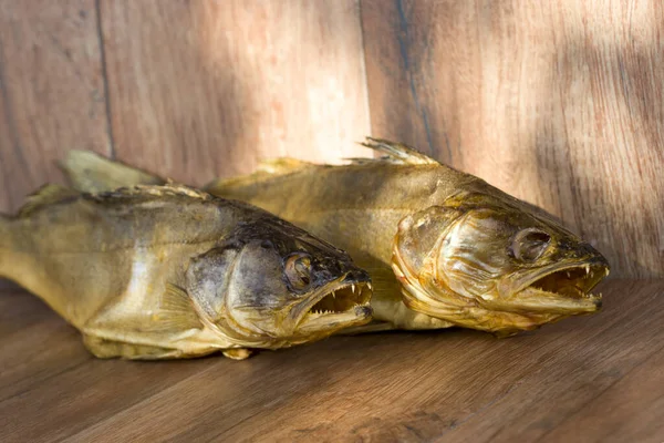 훈제 육식 물고기. 잰더. 매서운 흡연. 자연환경의 배경. — 스톡 사진