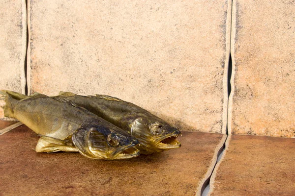 Smoked predatory fish. Zander. Cold smoked. Natural rustic background. — Stock Photo, Image