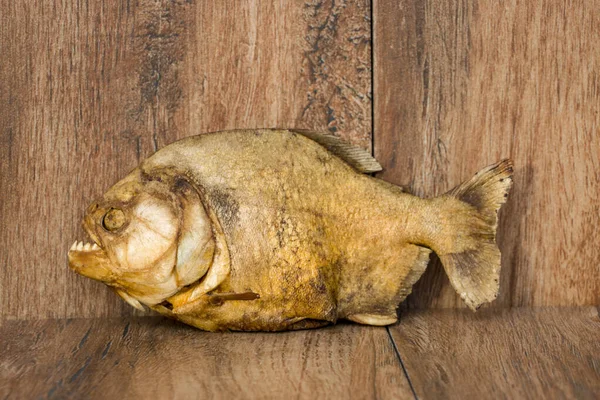 Piraña ahumada sobre un viejo fondo de madera. Peces depredadores de río. Río caníbal . —  Fotos de Stock