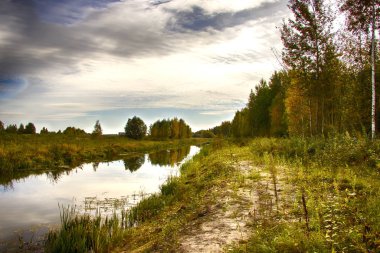 Sedge ve Calamus 'ta sonbahar nehri. Kumsalda rahatlama ve gevşeme. Beyaz Rusya. Salihorsk.