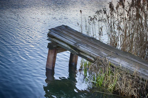 River pier in sedge and calamus. Relaxation and relaxation on the beach. Belarus. Salihorsk. — Stock Photo, Image