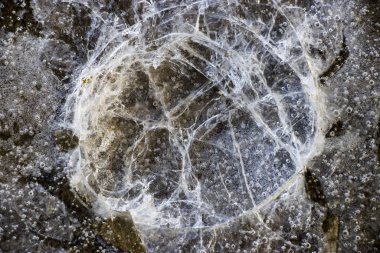 Kırık buz. Yakın plan. Tasarım için kavramsal arkaplan.