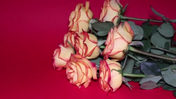 Maravilloso Ramo Rosas Naranjas Para Ser Querido Una Noche Romántica — Vídeos de Stock