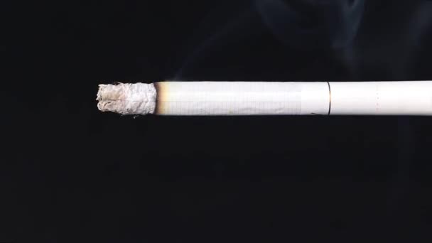 黒い背景でタバコを吸っている タバコの煙だ スローモーション 健康的なライフスタイルの概念 — ストック動画