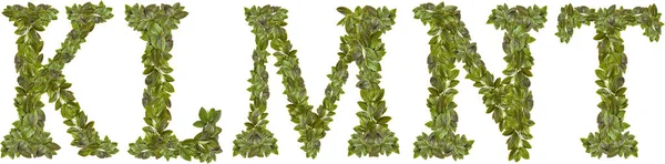 English alphabet from young leaves of apple tree leaves. Concept for design. — Stock Photo, Image