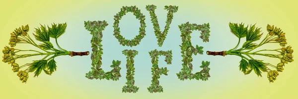 Junges Frühlingsblatt Und Die Inschrift Love Life Aus Grünen Blättern — Stockfoto