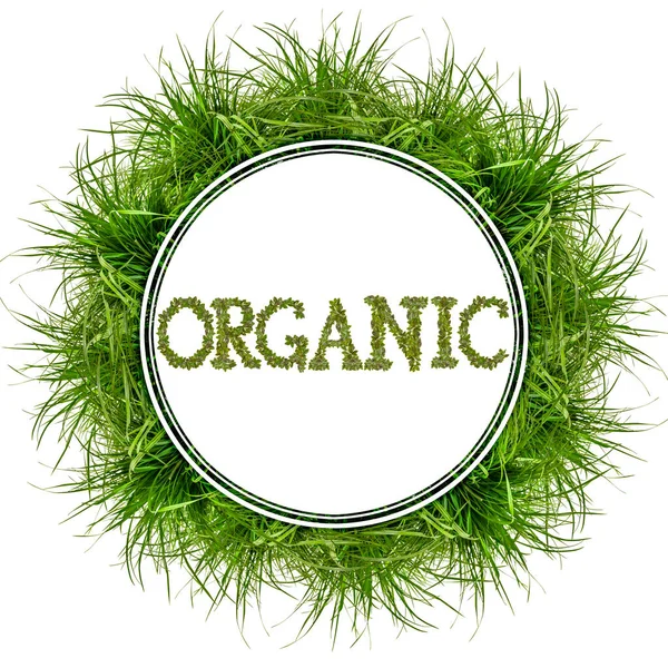 Kruh Jasně Zelené Trávy Nápisem Organic Koncepty Pro Design — Stock fotografie
