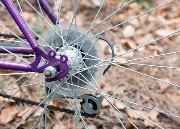 Cubo traseiro de bicicleta, quadro roxo e roda — Fotografia de Stock