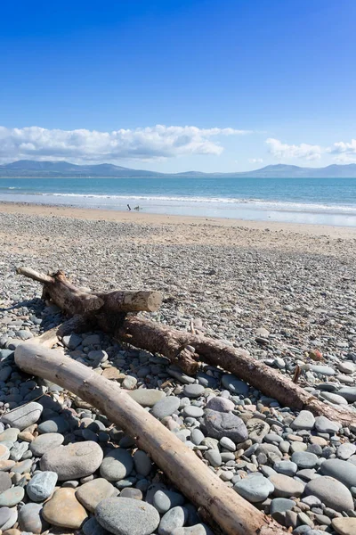 Naplavené dříví na kamenité pláži v Newborough, Anglesey, North Wales — Stock fotografie