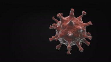 4 bin. Coronavirus hücre molekülü siyah zemin üzerinde izole edilmiş kusursuz döngüyle dönüyor. 3d oluşturma 