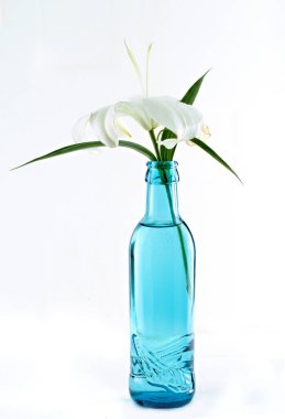 Beyaz arka planda mavi bir şişede Lily çiçeği, izole et, kapat.