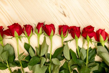 Kırmızı güller ahşap bir masanın üzerinde sıra halinde yatar. Yatay çerçeve. Sevgililer Günü kartpostalı, 8 Mart.